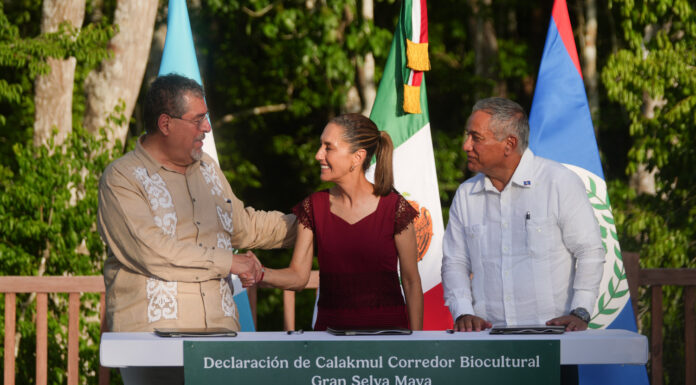 En un acuerdo histórico, México, Guatemala y Belice crean el Corredor Biocultural de la Gran Selva Maya, el más grande del mundo en su tipo