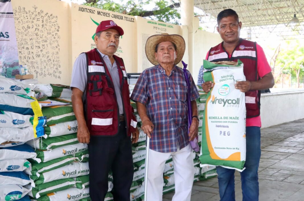 Entrega Gobierno de Oaxaca apoyo a damnificados de la Costa por huracán Erick (5)