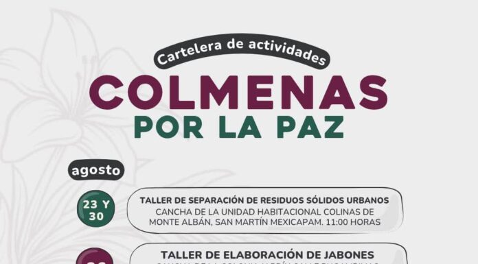 Actividades de Colmenas por la Paz llegan a colonias y agencias de Oaxaca de Juárez
