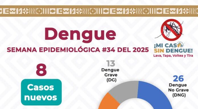 Registra SSO 47% de positividad de larvas de mosquitos en viviendas de 53 municipios