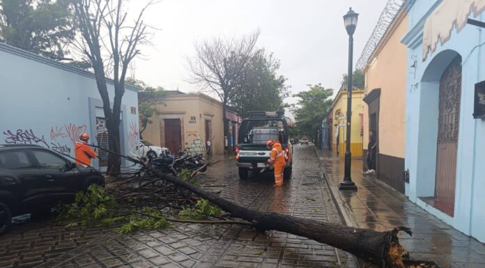 Realiza protección civil de Oaxaca de Juárez más de 45 actividades en la primera semana de agosto
