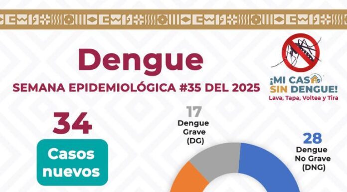 Ante lluvias, fundamental seguir con actividades de patio y vivienda limpia: SSO