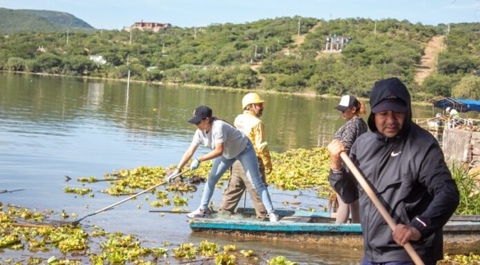 Participa Coesfo en la limpieza de la presa Yosocuta para su saneamiento