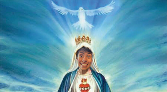 Alquimias Emergentes / La revolución a veces está en lo ordinario