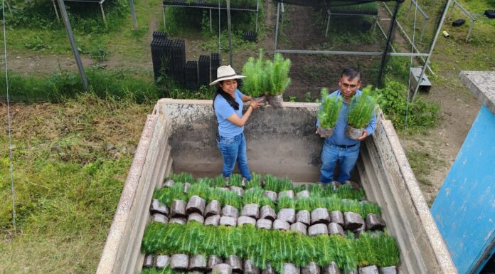Impulsa Coesfo recuperación ecológica de Santa Ana Yareni con la donación de plantas