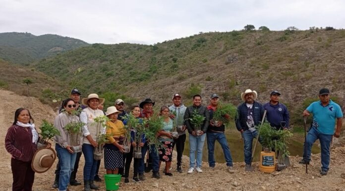 Otorga Coesfo más de mil árboles para reforestación de San Baltazar Chichicápam