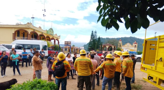 Realiza Coesfo jornada de reforestación en San Isidro Huayápam