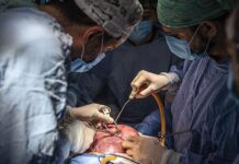 Especialistas del IMSS en La Raza realizan exitosa cirugía fetal para corregir espina bífida