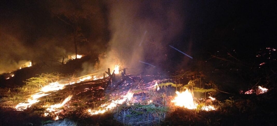 Atiende Coesfo quema agrícola no supervisada en zona forestal de Chimalapas (2)