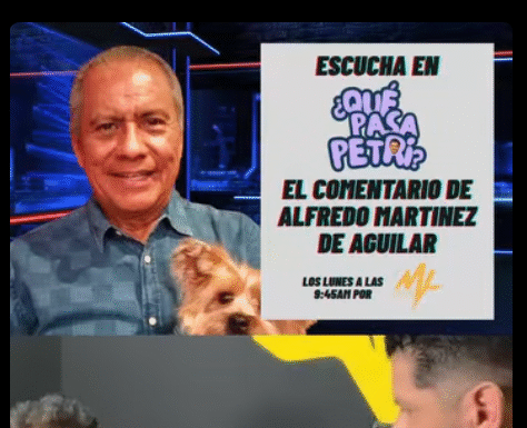 @DimePetri en #QuéPasaPetri?, y los efectos demoledores del sarcasmo, la ironía y los memes en la lucha contra los malos gobernantes y funcionarios públicos