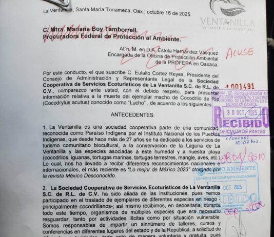 “Hijeza de la chingada” de funcionarios de PROFEPA contra cooperativistas ecoturísticos de La Ventanilla
