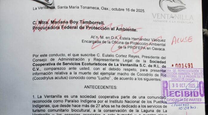 “Hijeza de la chingada” de funcionarios de PROFEPA contra cooperativistas ecoturísticos de La Ventanilla