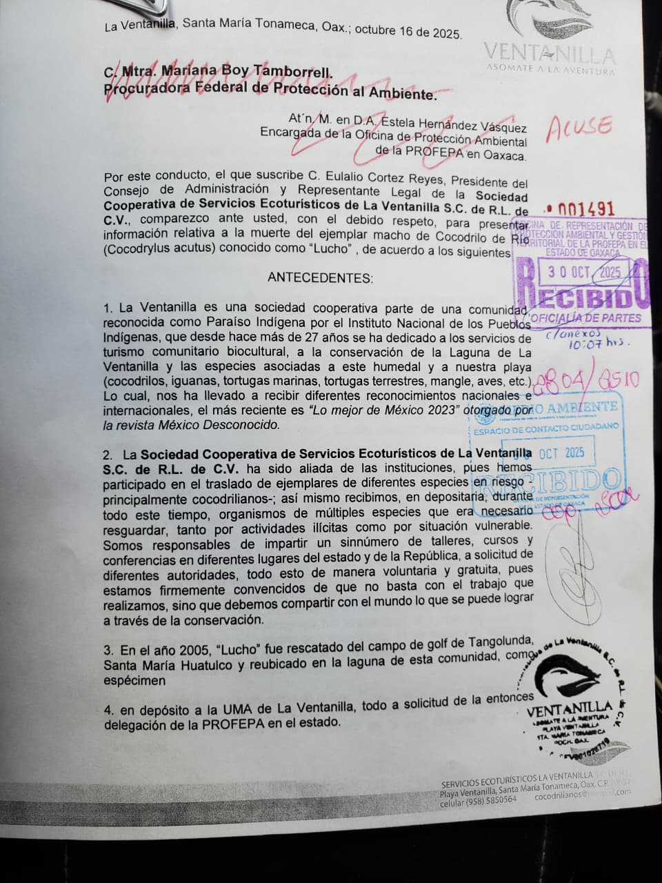 DETRAS1- PROFEPA 31 OCTUBRE 25