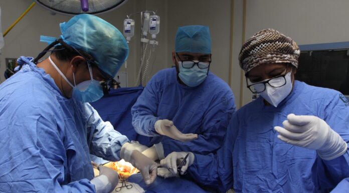 IMSS conmemora 62 años del primer trasplante renal en México con logro histórico: 4 mil 399 procedimientos realizados