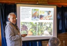 Participa Gobierno de Oaxaca en construcción de proyecto de conservación ambiental con Chiapas, Guerrero y Michoacán