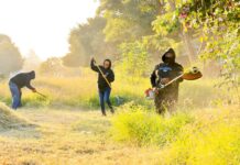 Vecinas y vecinos de Eucaliptos participaron en una exitosa jornada de Tequio Vecinal