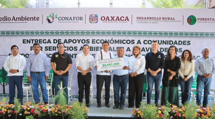 Por servicios ambientales, entrega Salomón Jara fondos por 33 mdp a 34 comunidades de Oaxaca