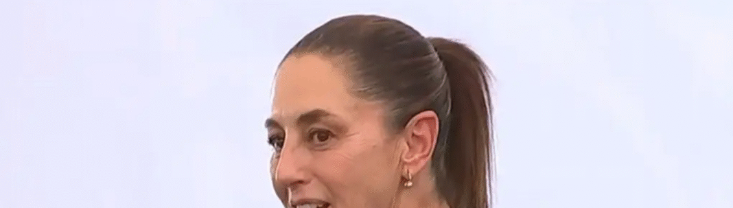 Captura de pantalla (603)