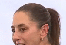 Abrazos al crimen, balazos a la democracia: El amargo balance de siete años