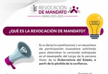 ¿Qué es la Revocación de Mandato?