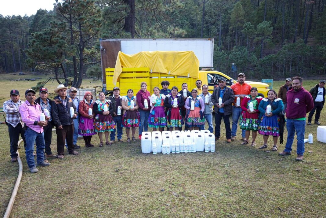 Fortalece Gobierno de Oaxaca sanidad forestal con aspersión aérea especializada en San Miguel del Valle 2