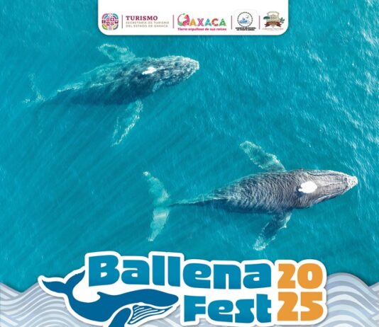 Invita Sectur Oaxaca al Ballena Fest 2025 en Puerto Ángel