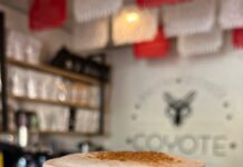 Café Coyote: El sabor que huele, sabe y se siente tan familiar ☕🐺