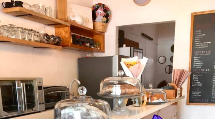 Siete Grados y Maestro Tostador Coyote compartiendo amistad y sabor: Cuando la calidad del café une la pasión por este