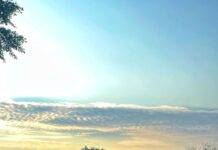 Memoria de una guionista de la serie El Niñero