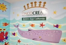En 2026 IMSS pondrá en marcha 12 ONCOCREAN con medicina de precisión para tratamientos dirigidos contra el cáncer