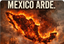 Tras muerte de “El Mencho”, Trump viene por narcopolíticos; terrorismo del narco abre las puertas a las presiones de EU