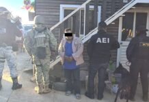 Cateo en punto de narcomenudeo en la Sierra Norte, detienen a una persona y aseguran dosis de droga