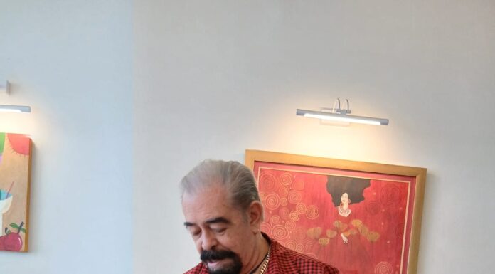 Sancionaría Comisión Interamericana de Derechos Humanos al Estado Mexicano por Ley de Expropiación de Oaxaca con ocupación urgente