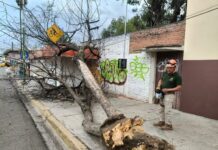 Atención a vecinas y vecinos