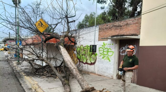 Atención a vecinas y vecinos