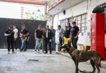 Operativo simultáneo en paqueterías de Oaxaca permite detectar envío de drogas, armas y cartuchos; FGEO investiga a remitentes