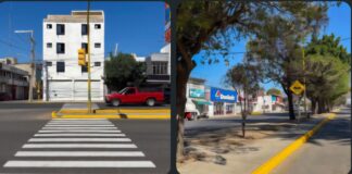 El Tequio Vecinal de este domingo se realizó en Avenida Universidad