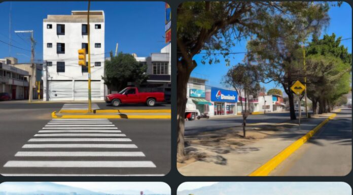 El Tequio Vecinal de este domingo se realizó en Avenida Universidad