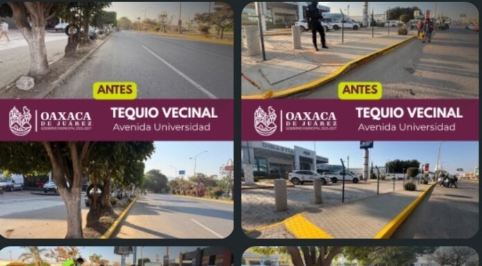 Trabajo que se ve: vecinas y vecinos realizan Tequio Vecinal en Avenida Universidad