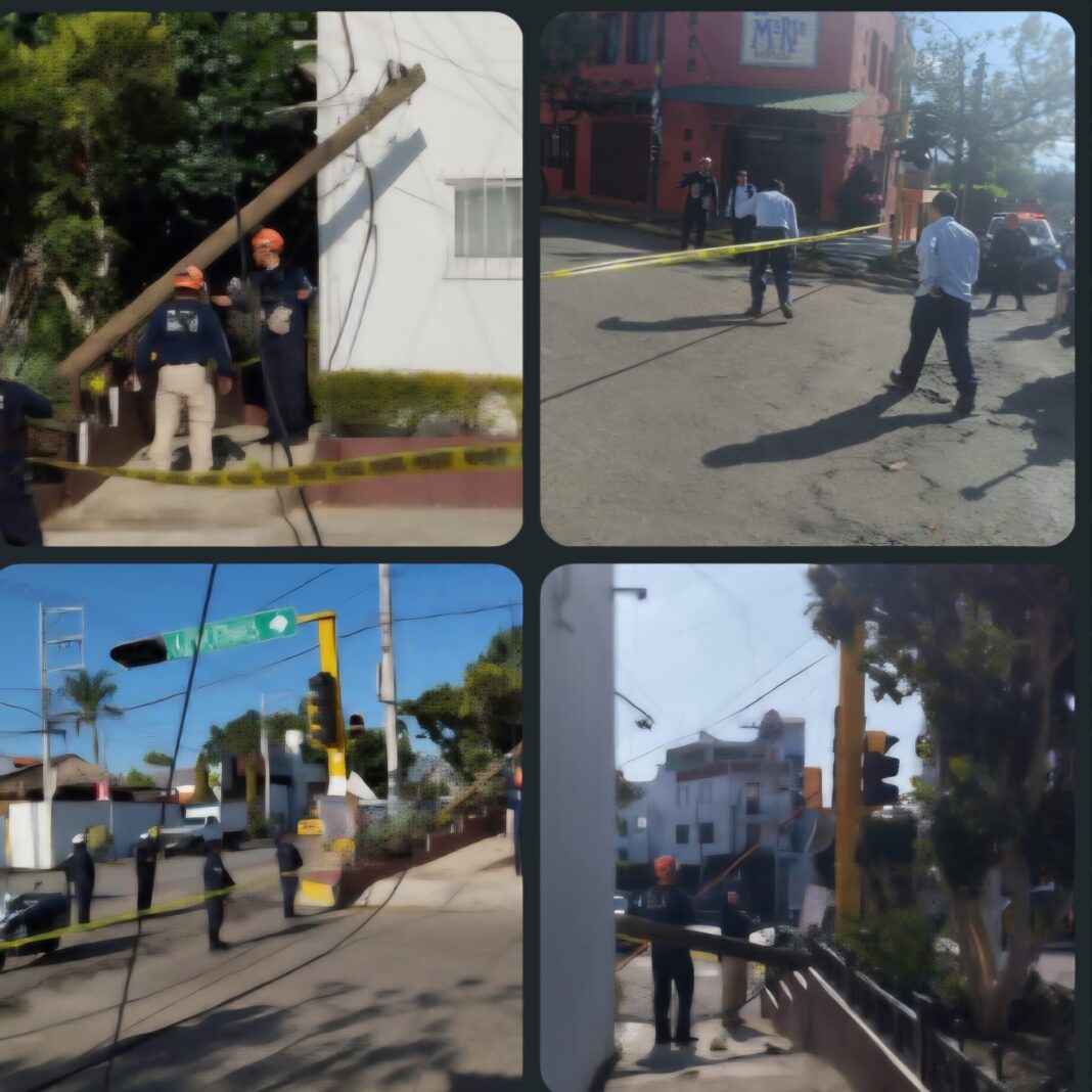 Screenshot_20260331_112747_WhatsApp