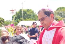 Diócesis de Huajuapan de León, Oaxaca. Domingo de Ramos inició la Semana Mayor 2026