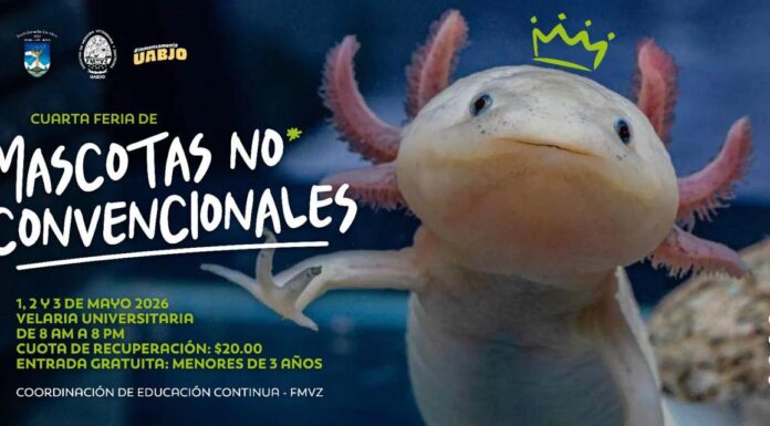 VETERINARIA UABJO ANUNCIA SU CUARTA FERIA DE MASCOTAS NO CONVENCIONALES