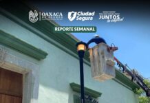 Hoy las luminarias sí se atienden y se ven resultados. 💡