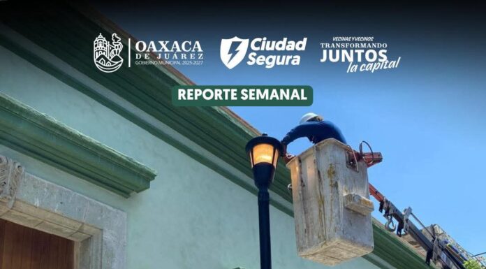Hoy las luminarias sí se atienden y se ven resultados. 💡