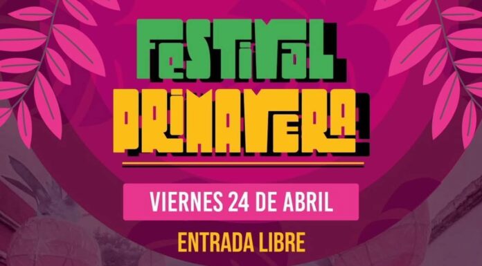 🎉🌸 Vive el Festival Primavera en Oaxaca de Juárez