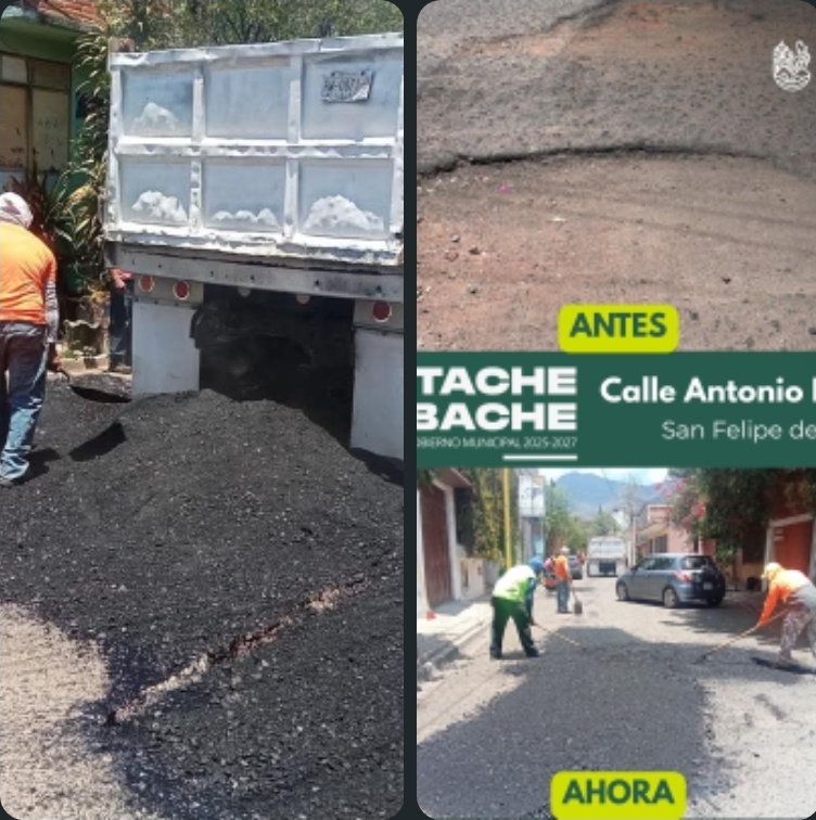 Screenshot_20260406_144601_WhatsApp