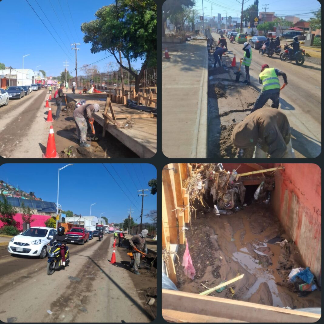 Screenshot_20260410_153542_WhatsApp