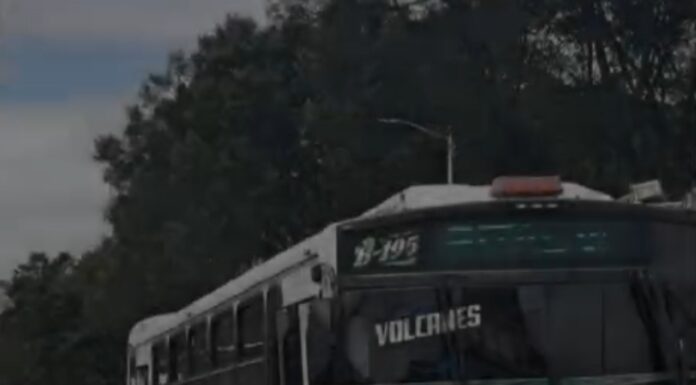 La Secretaría de Seguridad Vecinal de Oaxaca de Juárez ha reforzado la presencia y vigilancia en taxis y transporte urbano