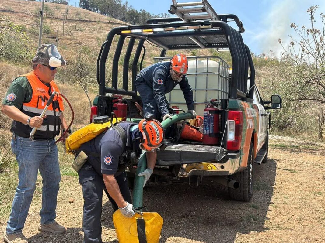 WhatsApp Image 2026-04-16 at 13.35.15