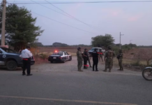 Más cuerpos humanos descuartizados: el infierno del narcoterrorismo en la región del Istmo de Tehuantepec